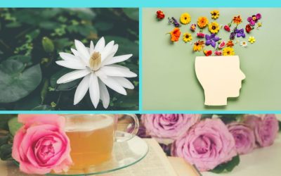 Unlocking Your Best Health: The Power of Self-Compassion For Well-being